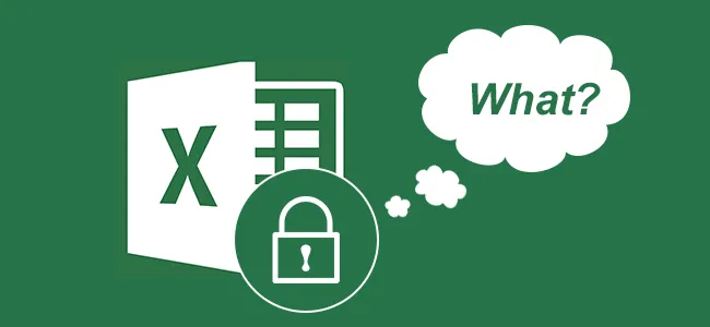Protected Excel File