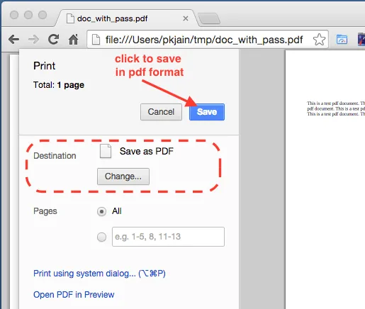Save file as PDF Chorme