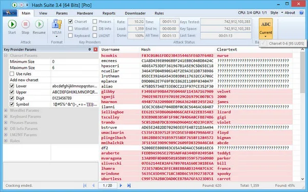 Hash Suite Password Recovery