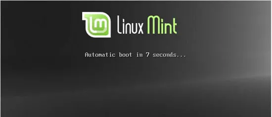 Linux Mint Boot